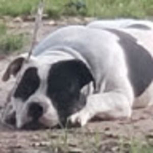 Meet your Posher, Bryant